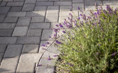 Sealing Pavers Before the Rainy Season: Why September Is the Month
