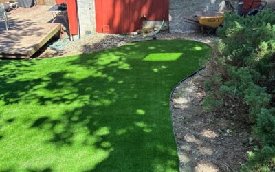 Artificial Turf Installation in Vancouver, WA: 617 Square Feet Replacing a Failing Lawn Under Mature Conifers
