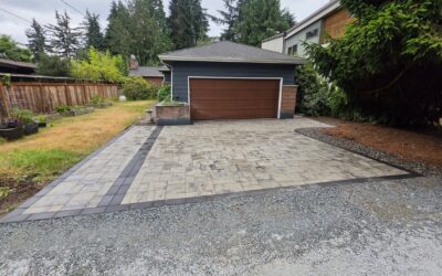 Outdoor Living 4 Paver Driveway Installation in Seattle, WA: 600 Square Feet of Belgard Dimensions 12 Around a Protected Street Tree