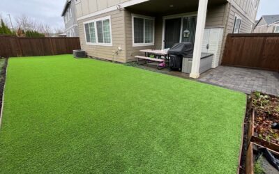 Pet Turf Installation in Beaverton, OR: 664 sq ft From a Single Roll, With a Herringbone Paver Side Yard